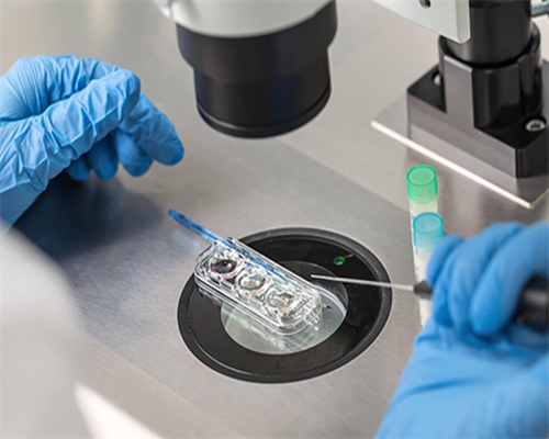 怀孕5个月注意事项(孕五个月应该注意些什么),助孕电话号码