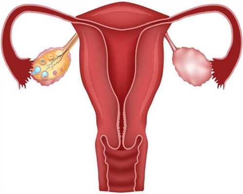 避孕药对卵巢的危害大吗？,代怀生子公司