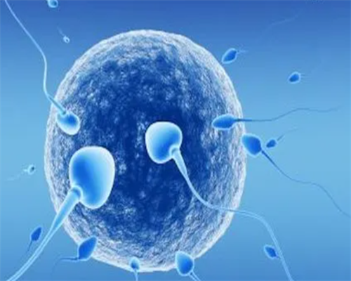 传承国际助孕上门洽谈|2026德阳可以做三代试管生男孩吗？大概多少钱？