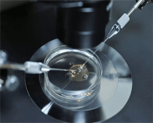 安徽试管婴儿医院排名？成功率最高的医院是哪家？,同性爱人代怀