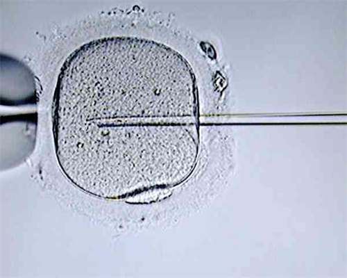 宫颈糜烂要重视常见的4大危害要了解,正规代怀