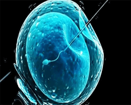 安徽洗精价格,安徽精子库捐精全过程