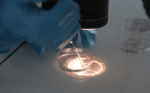 安徽省最好的试管婴儿医院,在安徽省做试管婴儿要多少钱