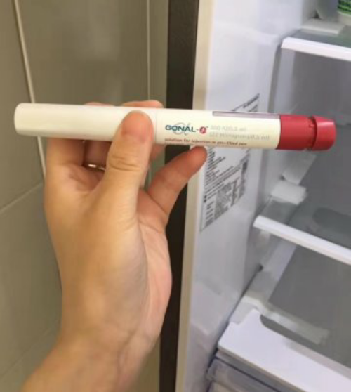 国内代孕网站,天津助孕中介