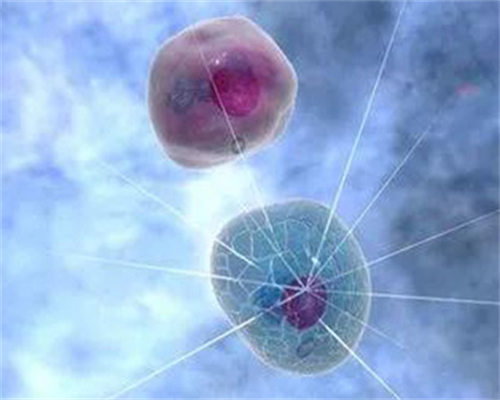 安徽供卵试管贵吗,2026安徽供卵试管婴儿医院推荐