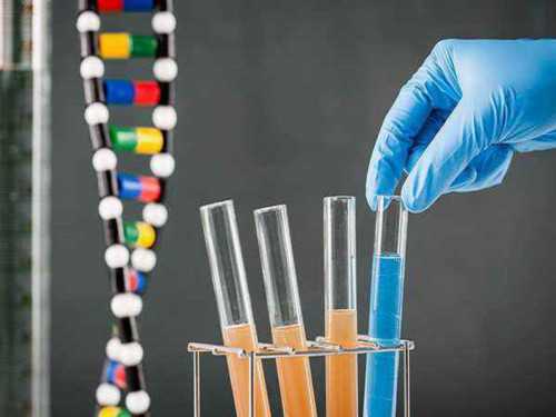 北京高鹰助孕生殖中心注册|广州供卵试管中介,供卵试管成功率有多高呀