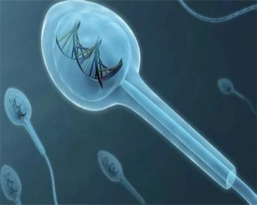 安徽助孕费用,安徽正规助孕电话