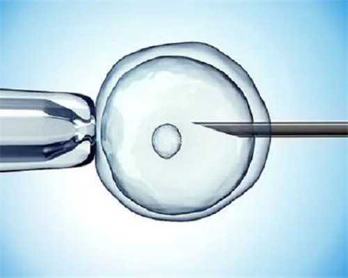 补气血汤怎么做（产后如何补气血）,供卵代怀孕