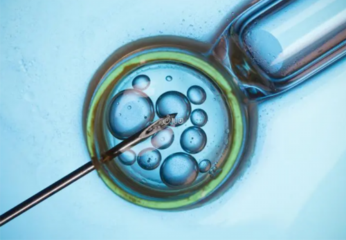 安徽供卵借卵,1安徽医科大学第一附属医院借卵做试管供卵多少钱