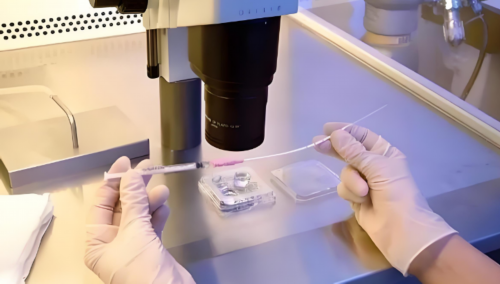 安徽试管助孕供卵机构,安徽省宿州市供卵助孕医院排名（目前仅有一家）