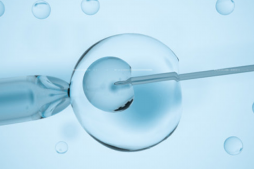 茴香菜_茴香菜的功效与作用_茴香菜的做法