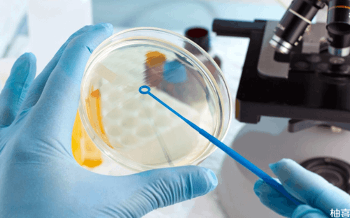 安徽找供卵试管者的公司,探访安徽首个人类精子库