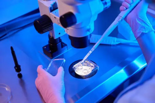 借卵试管咨询,天津三代试管助孕网