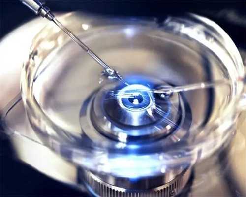 代生孩子过程,月经结束吃什么助孕 这些食物能暖宫促排助孕