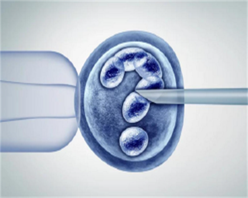 始基子宫的治疗几率有多少？始基子宫治愈率有多少？,代怀试管