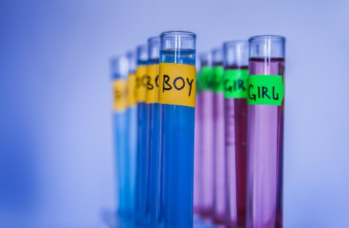 安徽助孕服务网址,安徽最大的助孕服务公司