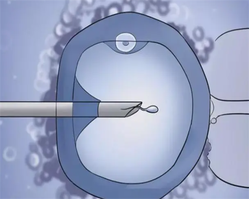 供卵生子公司,北京供卵公司（深圳助孕）