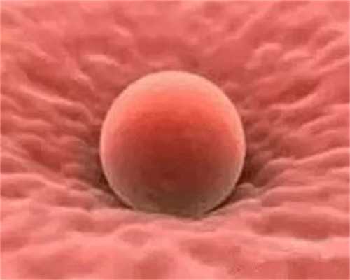 有代生妈妈吗,上海试管第一坤和助孕就选—排卵当天吃什么助孕