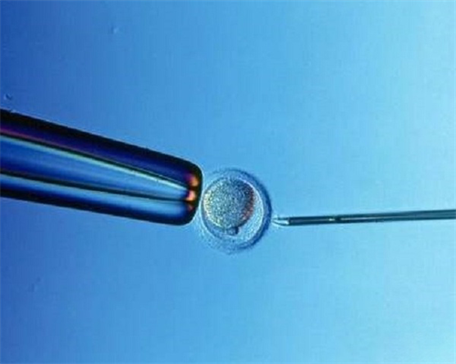 安徽助孕网站官网首页,2026安徽供卵大全