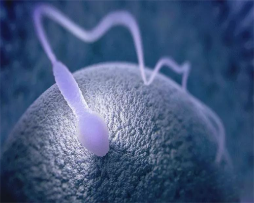 精做b超注意事项：做b超前能吃饭吗,捐卵公司