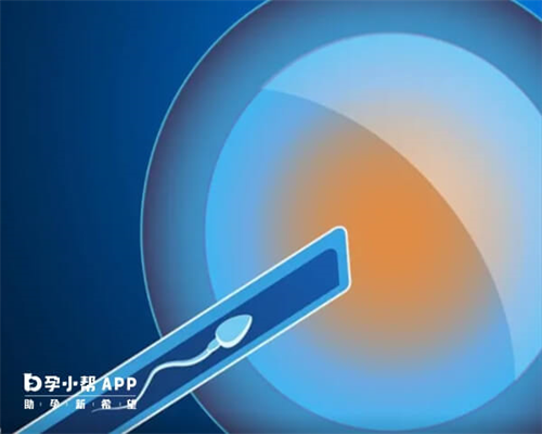 安徽代怀宝宝,安徽省借卵试管婴儿代怀生子排名，最新助孕机构名单公布！