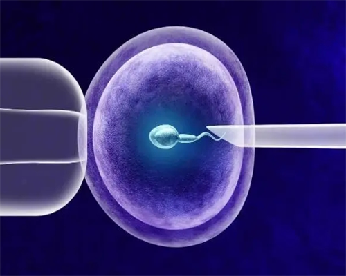 孕妇几周可以做B超检查？孕妇隔周做B超可以吗？,大龄试管婴儿