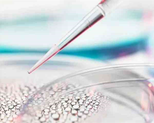 哪有供卵试管,天津供卵医院-正规助孕网