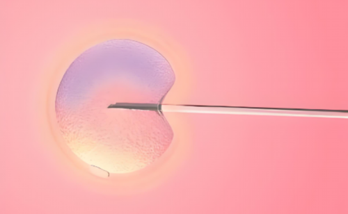 安徽能做供卵的医院有哪些,安徽第一附属做供卵吗租房