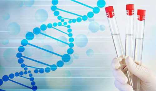 哪有代生机构,助孕吃什么食物好