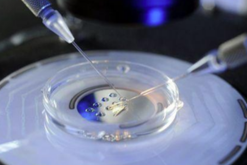 安徽省试管婴儿医院导航,安徽省立医院做试管哪个医生好