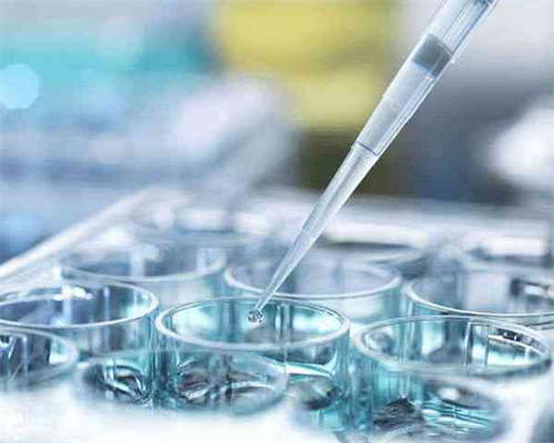 安徽有偿供卵,12026年安徽省供卵试管助孕机构大全