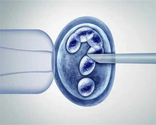 子宫内膜薄吃鸡蛋好不好？鸡蛋、牛奶帮你唤醒沉睡的内膜,私人代怀