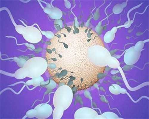 中卫助孕公司|三亚供卵助孕三代试管包儿子