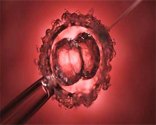 安徽市做子宫肌瘤最好医院,安徽独生子女补贴资格审查