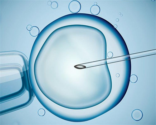 安徽去哪里做供卵试管婴儿好,安徽省立有供卵吗安徽省立有做供卵试管吗