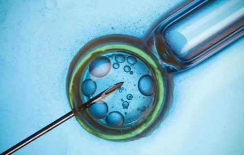 安徽市试管婴儿费用高吗,安徽有正规的人工授精的医院吗