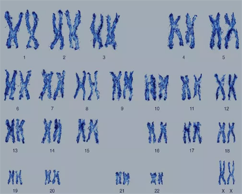 安徽有没有靠谱的三代试管机构，安徽喜岸成功率高不高？