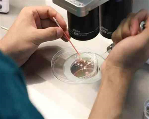 安徽试管婴儿技术有哪些好处,安徽私人医院试管技术如何？