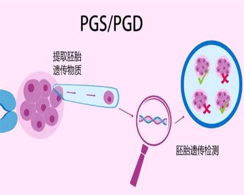 靠谱的代孕公司,天津试管助孕中心