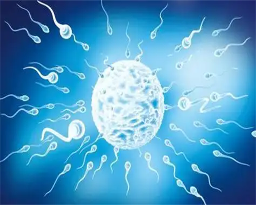 安徽医院有无偿供卵吗,安徽供卵试管婴儿成功率最高的医院？2026
供卵试管婴儿