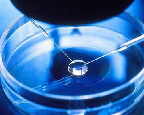 女人吃八珍丸的好处(长期吃八珍丸的好处)