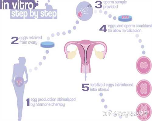 安徽哪有供卵,合肥私立供卵中心（安徽妇幼保健院供卵）