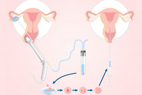 怀孕了吃优思明会有什么反应,三代代怀服务