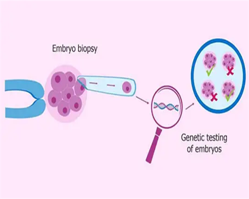 哪里有安徽专业供卵机构,2026
安徽正规供卵试管目录