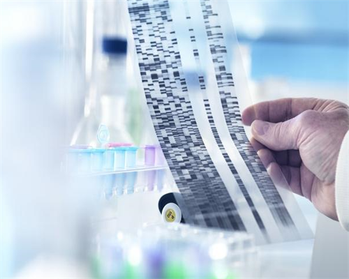 51宝贝助孕是真的吗|[榆林试管婴儿]春季备孕好处多，吃这些有利于怀孕