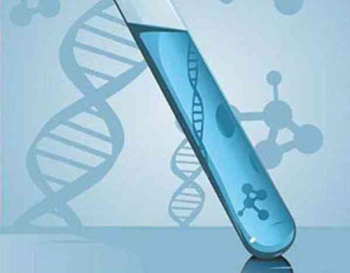 宫外孕的HCG值会隔日翻倍吗,正规代怀公司