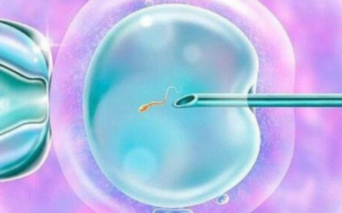 代怀靠谱机构,天津医院-正规助孕网