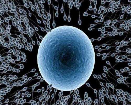 安徽找供卵做试管的医生,安徽黄山做一个试管婴儿要多少钱