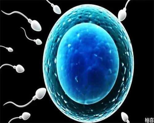 安徽权威助孕,安徽三代试管助孕中介,安徽三代试管包生男孩价格