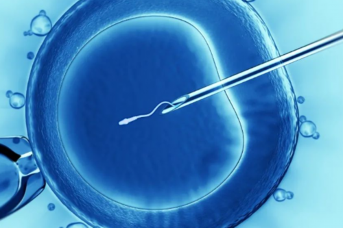 肚子显怀是男孩女孩,人工试管婴儿